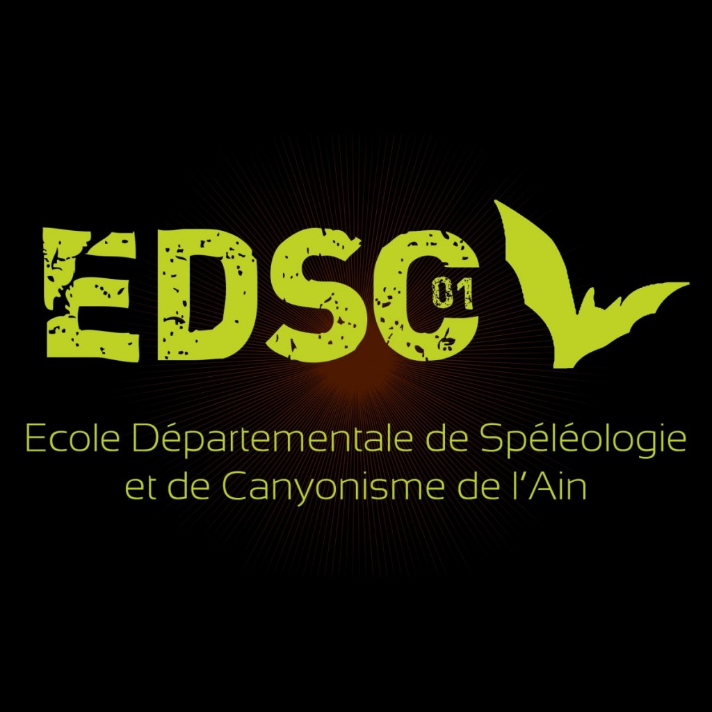 edsclogo01fb